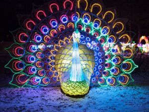 Chinese Festival of Light in Sokolniki Park in Moscow as a part of celebrating Chinese New Year. Peacock.