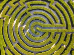 Maze of bushes in botanical park - Ayia Napa Cyprus - nature background