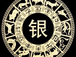 Chinese lunar zodiac, happy chinese new year, gold chinese lunar symbols on black background