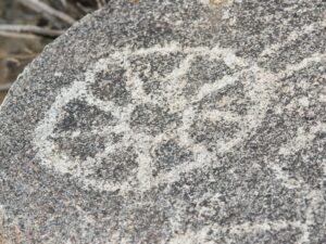 Sun or wheel Petroglyph from Saguaro National Monument