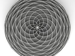 fibonacci spiral