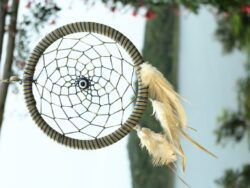 pexels-pixabay-357501